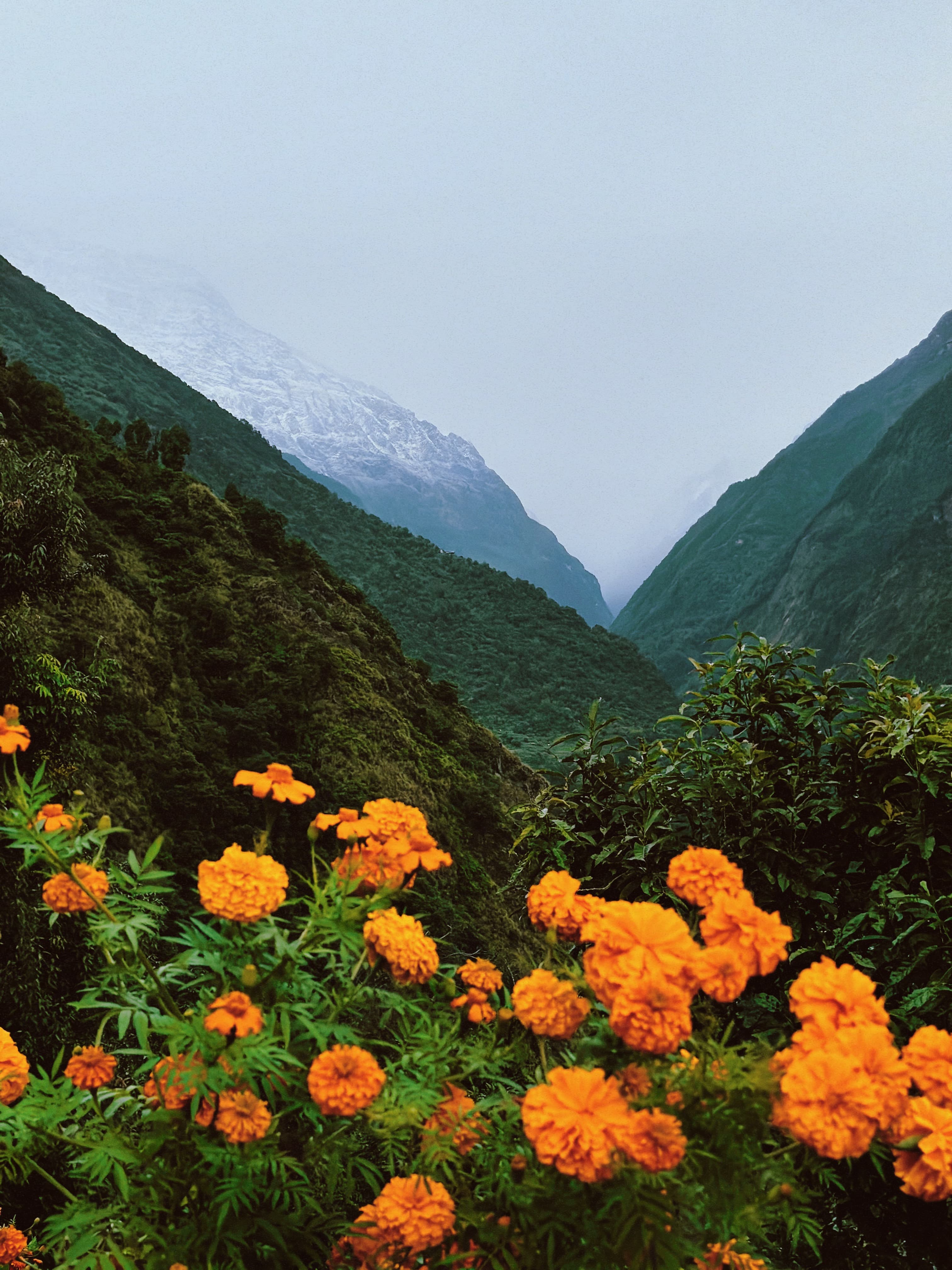 Scene from Nepal